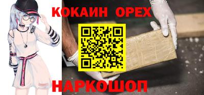 крисы Моздок