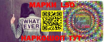 крисы Моздок