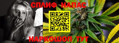 крисы Моздок