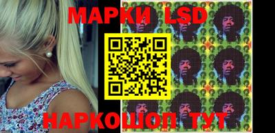 крисы Моздок