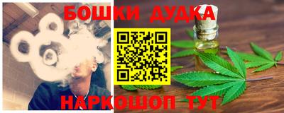 крисы Моздок