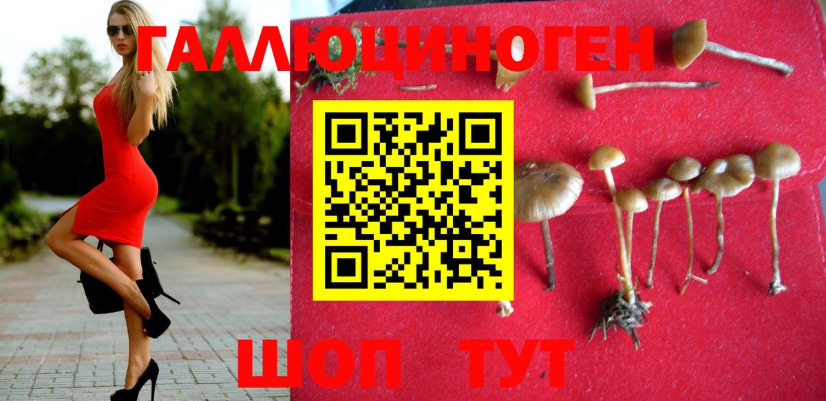 Галлюциногенные грибы Psilocybe Воркута