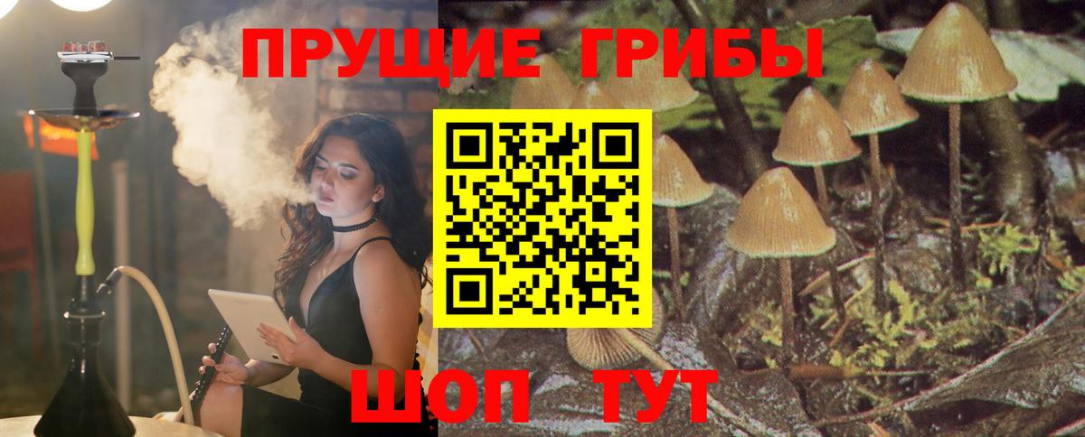 Галлюциногенные грибы мухоморы  Псилоцибиновые грибы Psilocybine cubensis  Воркута  цены наркотик  Вход с VPN 